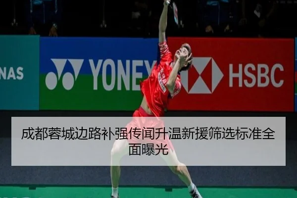 成都蓉城边路补强传闻升温新援筛选标准全面曝光